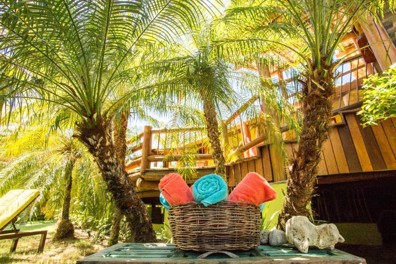 Villa Nicolle - Bahia - Praia Do Espelho Ngoại thất bức ảnh